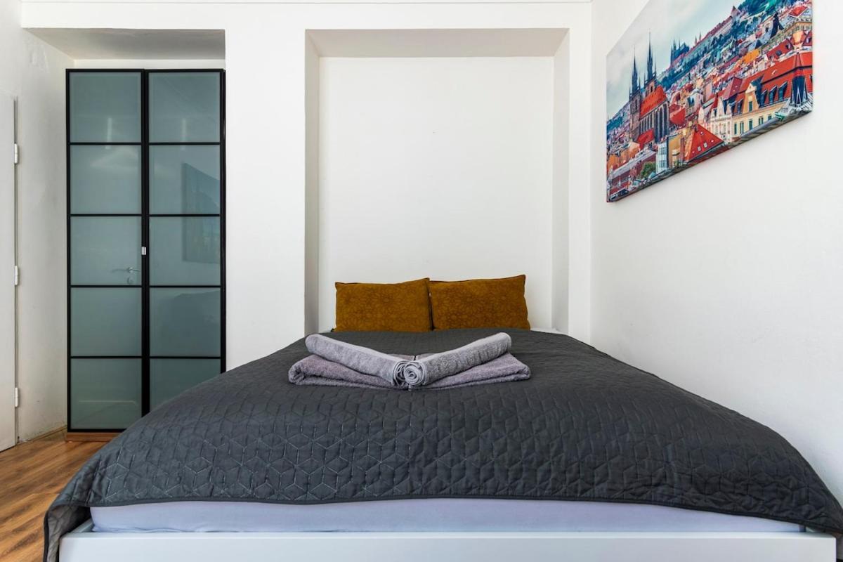 Terrace Centre Wenceslas Square Apartment